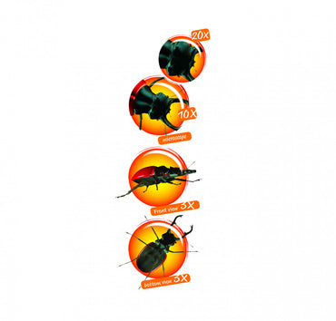 Cutie cu lupa si microscop pentru observarea insectelor, Navir
