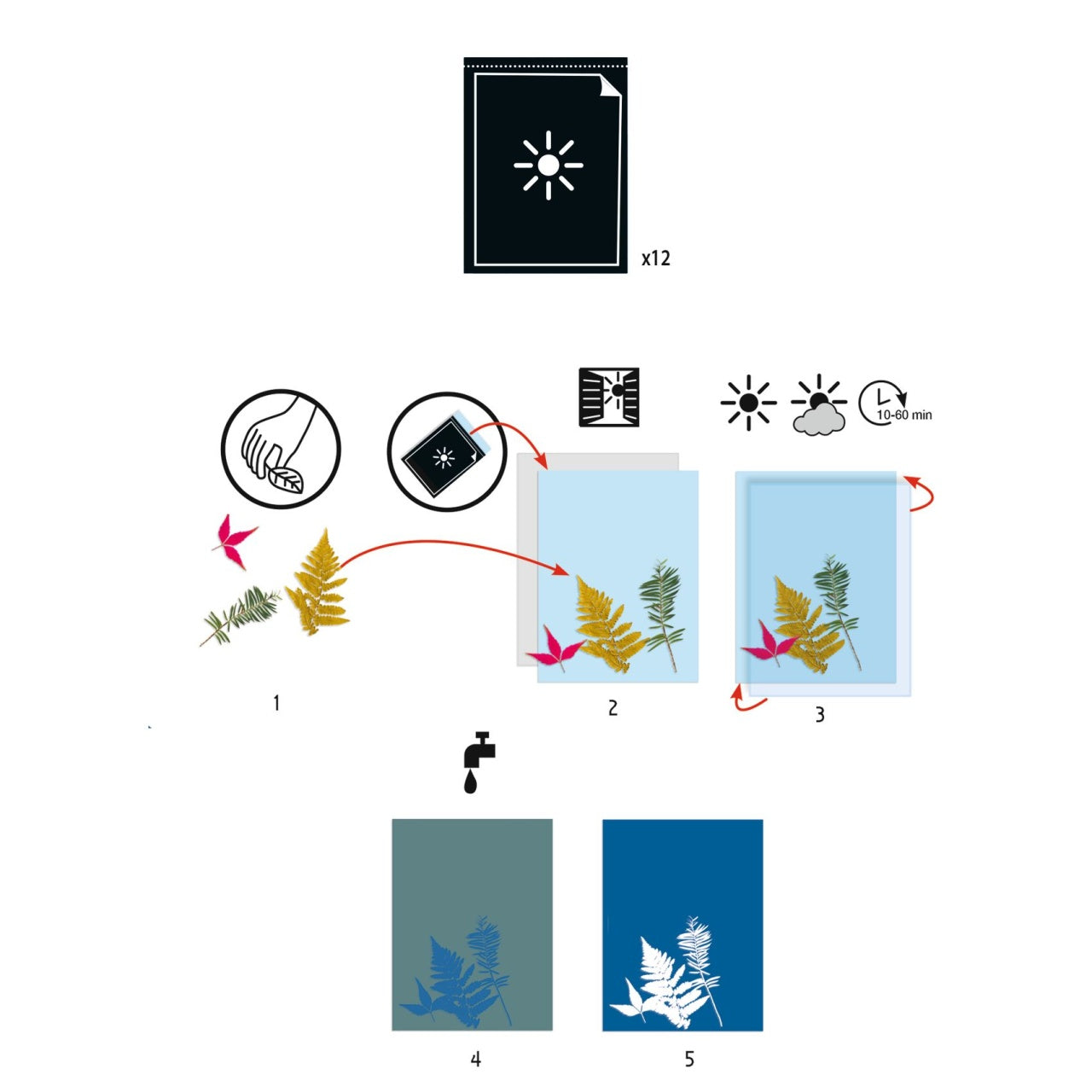 Hartie cianotip, Djeco