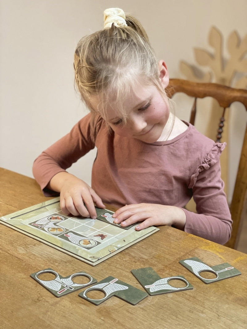 Joc magnetic Fluturi, Egmont Toys