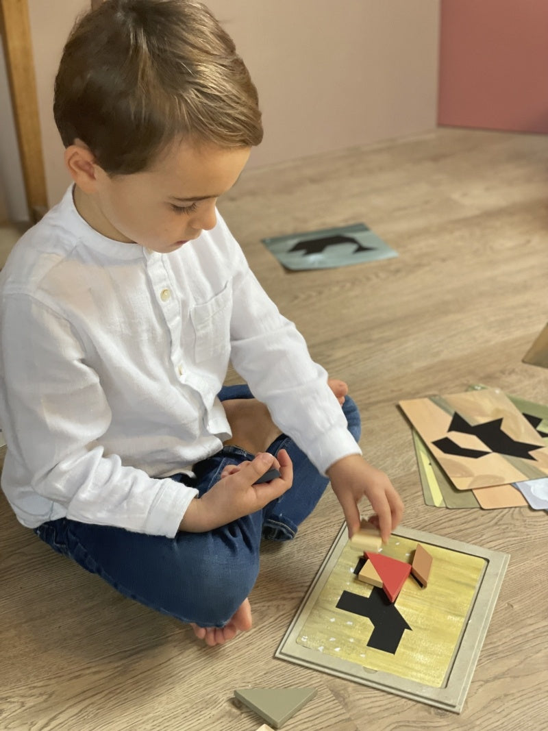 Joc magnetic Tangram, Egmont Toys