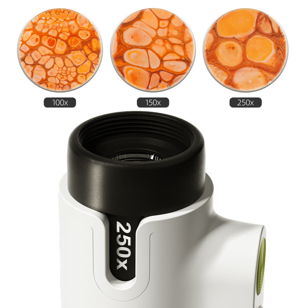 Joc STEM Microscop 250, TopBright