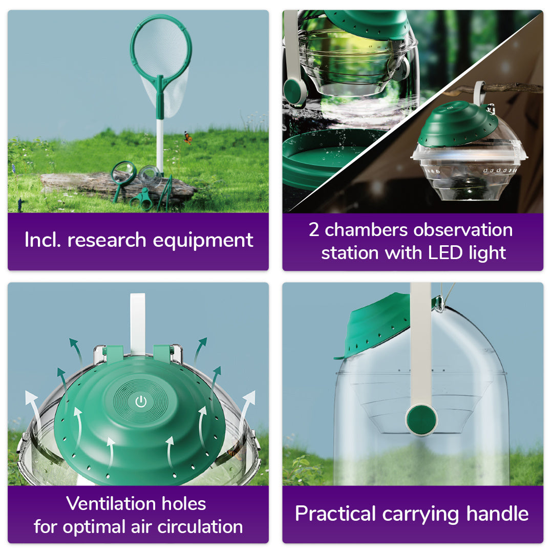 Kit STEM de explorare a insectelor și a lumii acvatice, TopBright