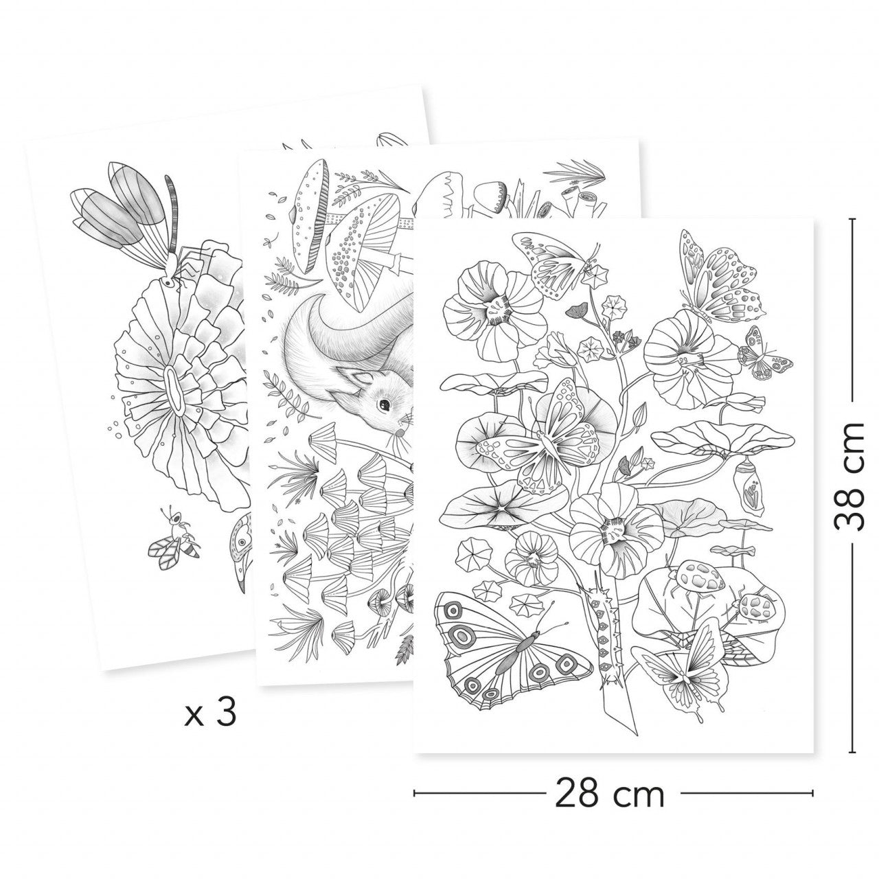 Mapa cu 3 postere de colorat Natura, Djeco