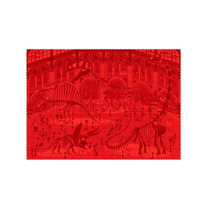 Puzzle Descopera dinozaurii, Londji