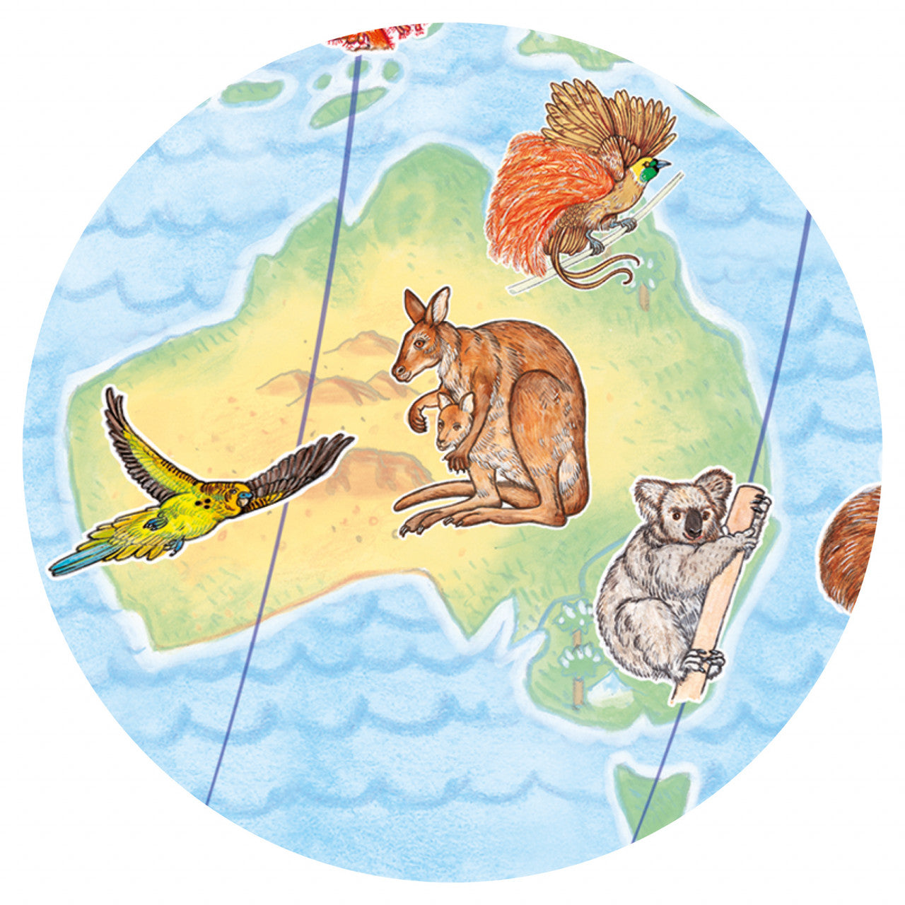 Puzzle observatie Animalele lumii, Djeco