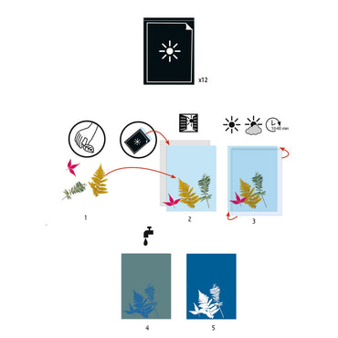 Hartie cianotip, Djeco