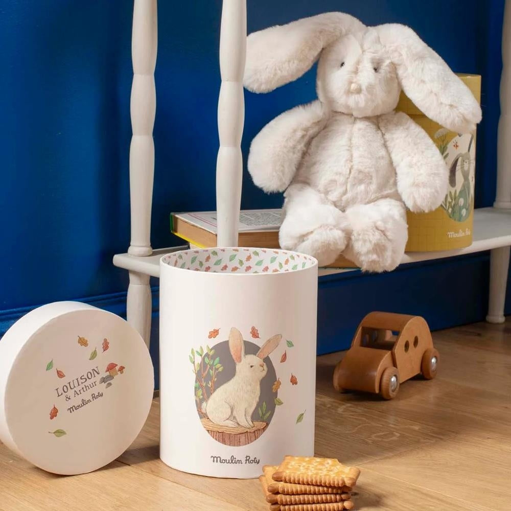 Iepuras Luison in cutie, Moulin Roty