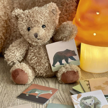 Joc memo Padure, Egmont Toys